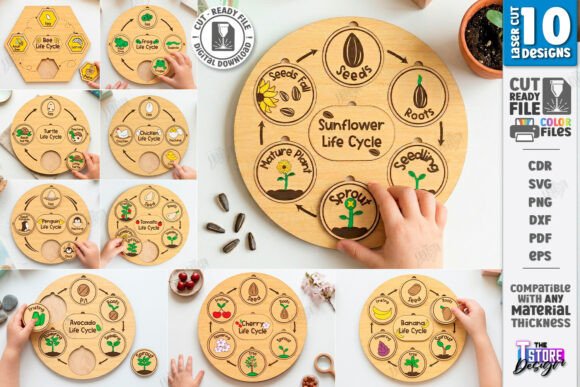 Life Cycle Puzzles for Laser Cutting Toys Amp